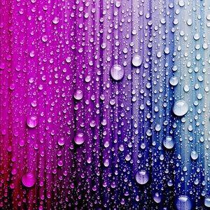 Meet your Posher, Effie